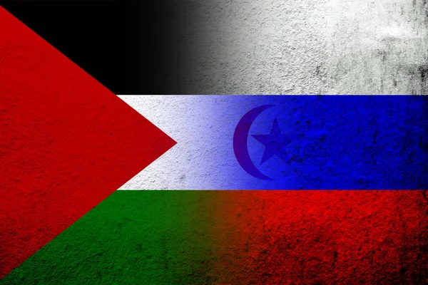 Nationale Vlag Van Russische Federatie Met Sahrawi Arabische Democratische Republiek — Stockfoto