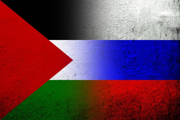 Nationale Vlag Van Russische Federatie Met Vlag Van Palestina Grunge — Stockfoto