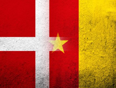 Kamerun Ulusal Bayrağı ile Danimarka Krallığı Ulusal Bayrağı. Grunge Arkaplanı