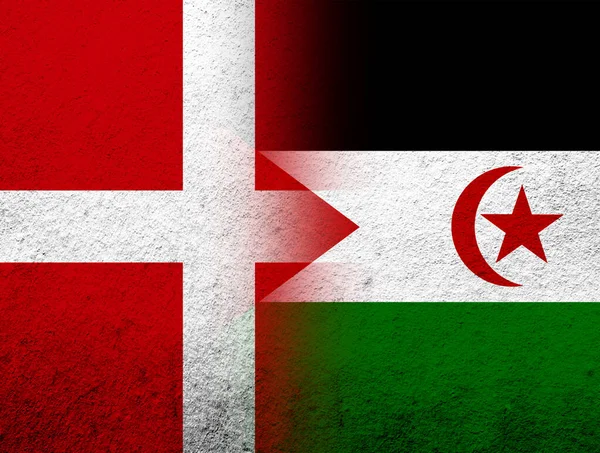 Kingdom Denmark National Flag Sahrawi Arab Democratic Republic Western Sahara — Stock Fotó