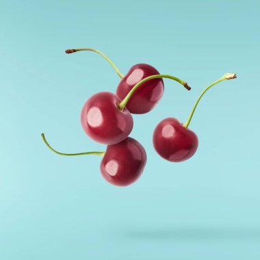 Turkuaz arka planda taze çiğ neşe yükseliyor. Gıda sıfır yerçekimi kavramı. Yüksek çözünürlük