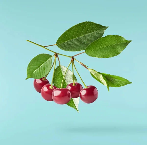 Fresco Crudo Alegre Con Hojas Verdes Cayendo Aire Sobre Fondo — Foto de Stock