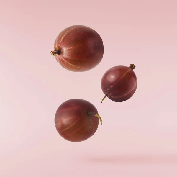 Frische Rohe Stachelbeeren Fallen Auf Rosa Hintergrund Die Luft Ernährung — Stockfoto