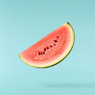 Fresh raw watermelon falling in the air isolated on blue background. Food levitation or zero gravity conception. igh resolution image.