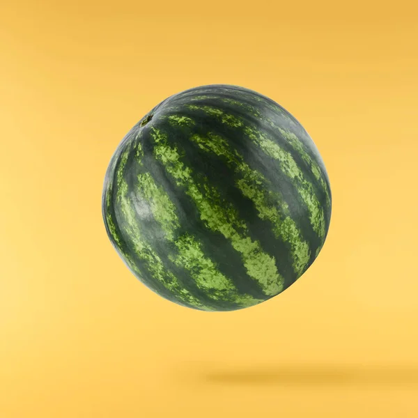 Fresh Raw Watermelon Falling Air Isolated Yellow Backgeound Food Levitation — Stock fotografie