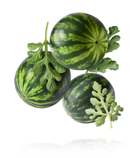 Fresh Raw Watermelon Falling Air Isolated White Background Food Levitation — Stockfoto