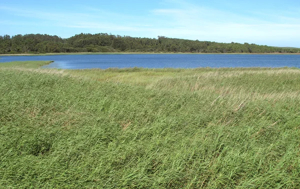 Landschap van een meer — Stockfoto