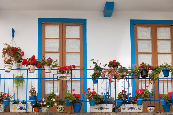 Nice balcony with blue doors — Stock Photo, Image