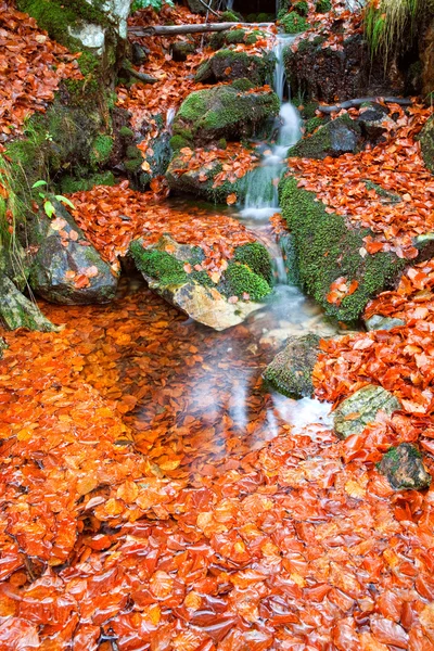 Bela cascata — Fotografia de Stock