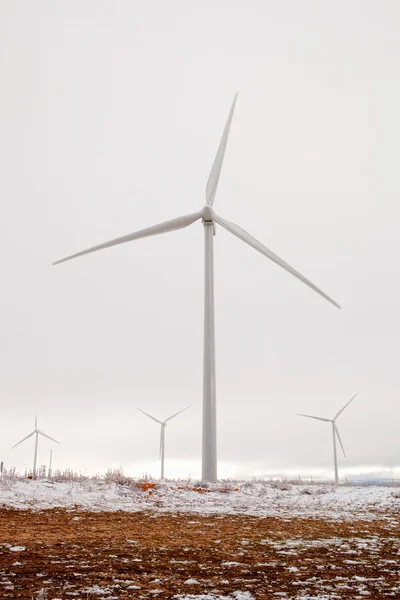 Snowy wind park — Stock Photo, Image