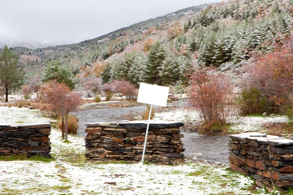 Bella pineta innevata con un poster bianco — Foto Stock