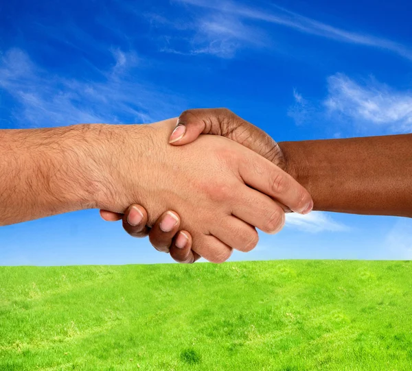 Handshake interracial — Stock Photo, Image