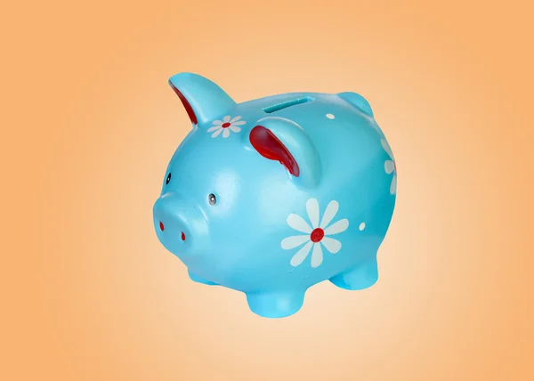 Virágok kék piggy bank — Stock Fotó