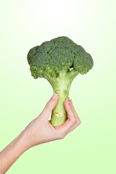 Hand med en bukett broccoli — Stockfoto