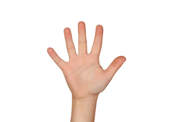 Offene Handfläche mit fünf Fingern — Stockfoto