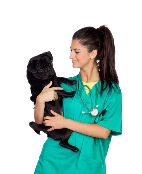 Morena veterinario con un perrito —  Fotos de Stock