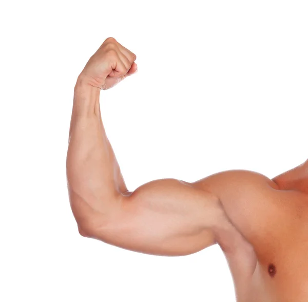 Starka biceps — Stockfoto