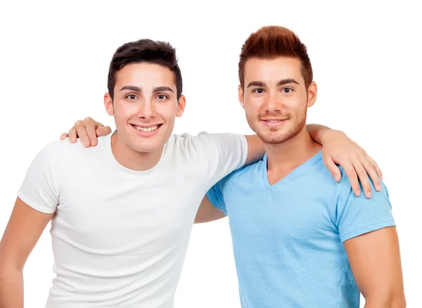 Portrait of two brothers Stock Image
