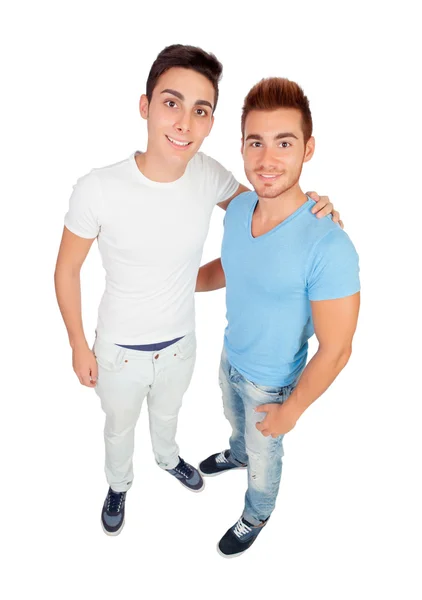 Funny portrait of two brother Royalty Free Stock Photos