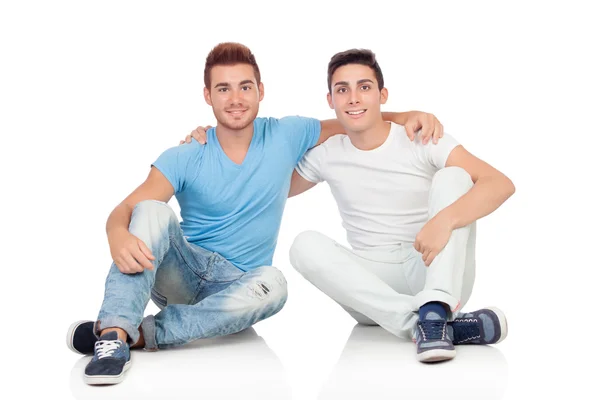Portrait of two brothers sitting Stock Photo