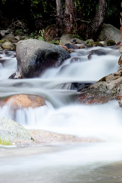 Schöner Bach mit klarem Wasser — Stockfoto