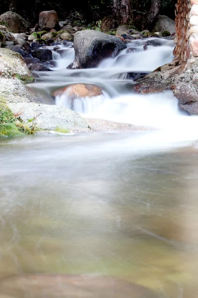 Nice creek with clear water — Stock Photo, Image