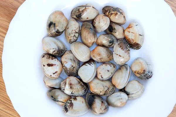 Amêijoas deliciosas preparadas para cozinhar — Fotografia de Stock