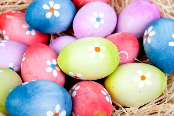 Пасхальные яйца, украшенные ромашками — стоковое фото