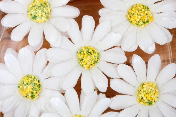 Schöne Blumen, die auf dem Wasser schwimmen — Stockfoto