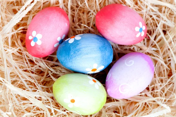 Пасхальные яйца, украшенные маргаритками на соломенном гнезде — стоковое фото