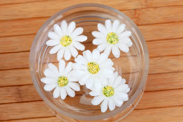물 그릇에 아름 다운 꽃 — 스톡 사진