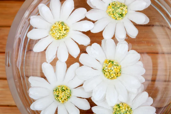 Beautiful flowers in a bowl with water — Stock Photo, Image