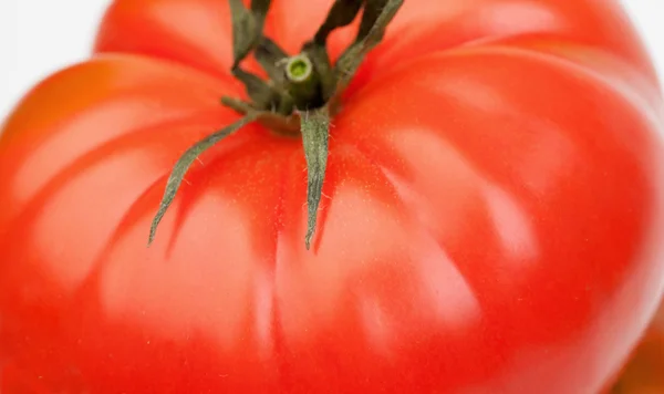 Detail velké červené rajče. — Stock fotografie
