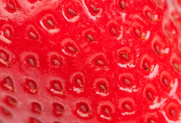 Makro jahody na bílém pozadí — Stock fotografie