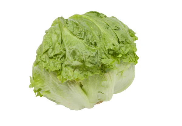 Green iceberg lettuce — Stock Photo, Image