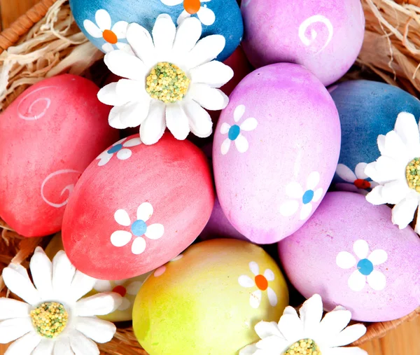 Easter eggs decorated with daisies tucked in a basket — Stock Photo, Image