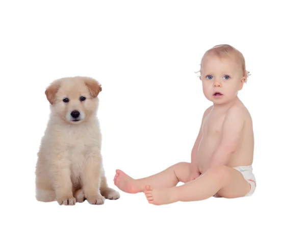 Vacker baby och en trevlig hund med mjuka vita hår sitter — Stockfoto