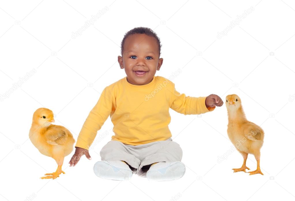Adorable african baby sitting wity two little yellow chickens 