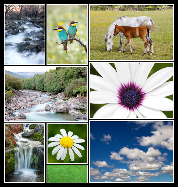 Beautiful spring landscape collage