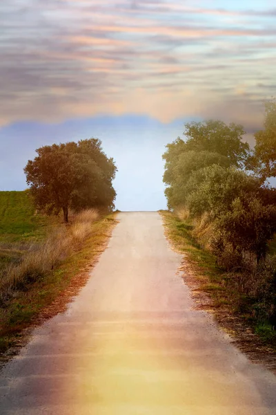 Uma Estrada Solitária Sob Dia Ensolarado — Fotografia de Stock