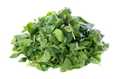 Beyaz arka planda izole edilmiş taze yeşil ıspanak yaprakları yığını. Kapat. 