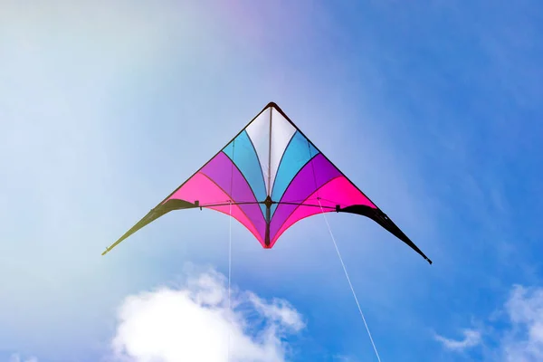 Pink Purple Blue Kite Flying Sky — Stock Photo, Image