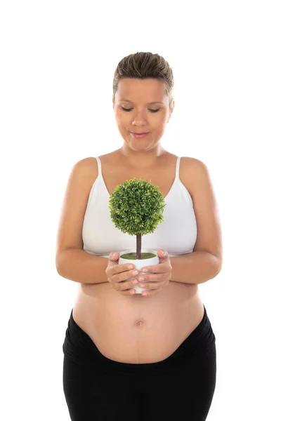 Pregnant Woman Showing Her Belly Holding Plant Care Environment — Stock Photo, Image