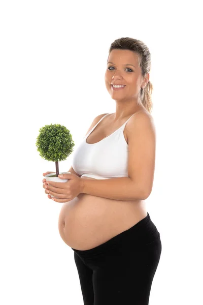 Mujer Embarazada Mostrando Vientre Sosteniendo Una Planta Cuidado Del Medio — Foto de Stock