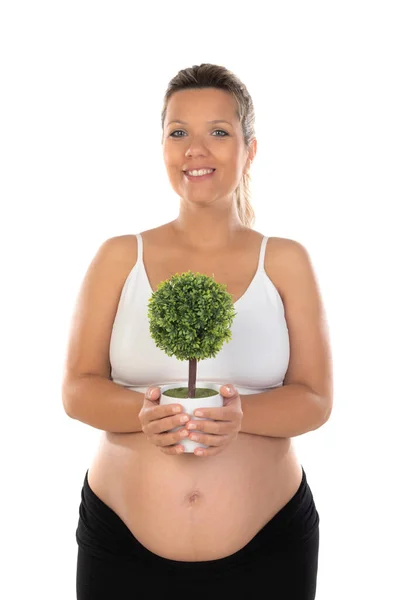 Pregnant Woman Showing Her Belly Holding Plant Care Environment — Stock Photo, Image