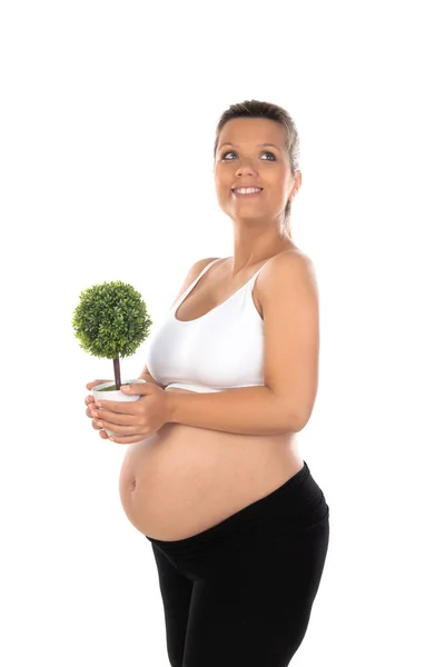 Pregnant Woman Showing Her Belly Holding Plant Care Environment — Stock Photo, Image
