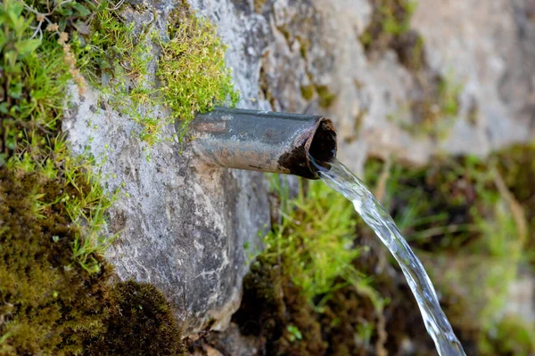 透明な水で一本の管の源 — ストック写真