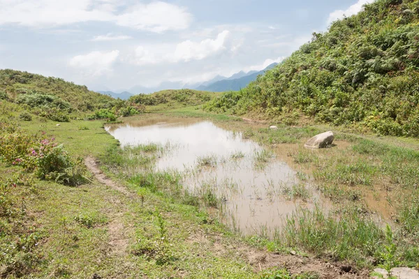 Small Pond in the Mountains — Stock Photo, Image