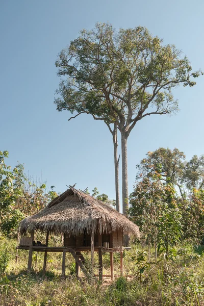 Casa y árbol — Foto de Stock