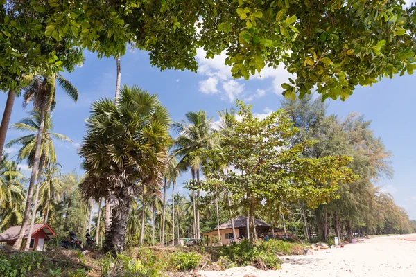 Tropischer Strand in Krabi — Stockfoto